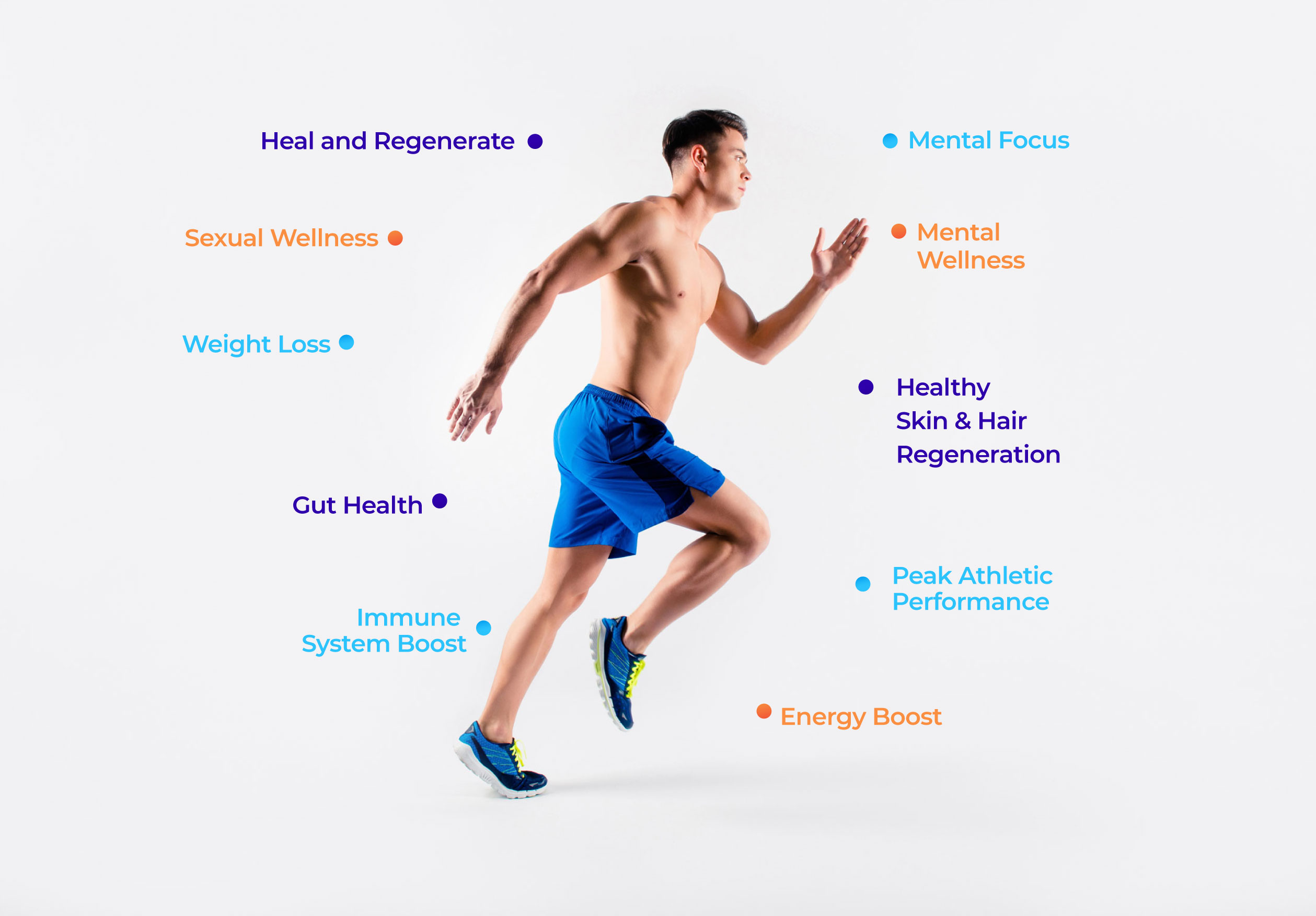 Heal and Regenerate, Sexual Wellness, Weight Loss, Gut Health, Immune System Boost, Energy Boost, Peak Athletic Performance, Healthy Skin & Hair Regeneration, Mental Wellness, Mental Focus